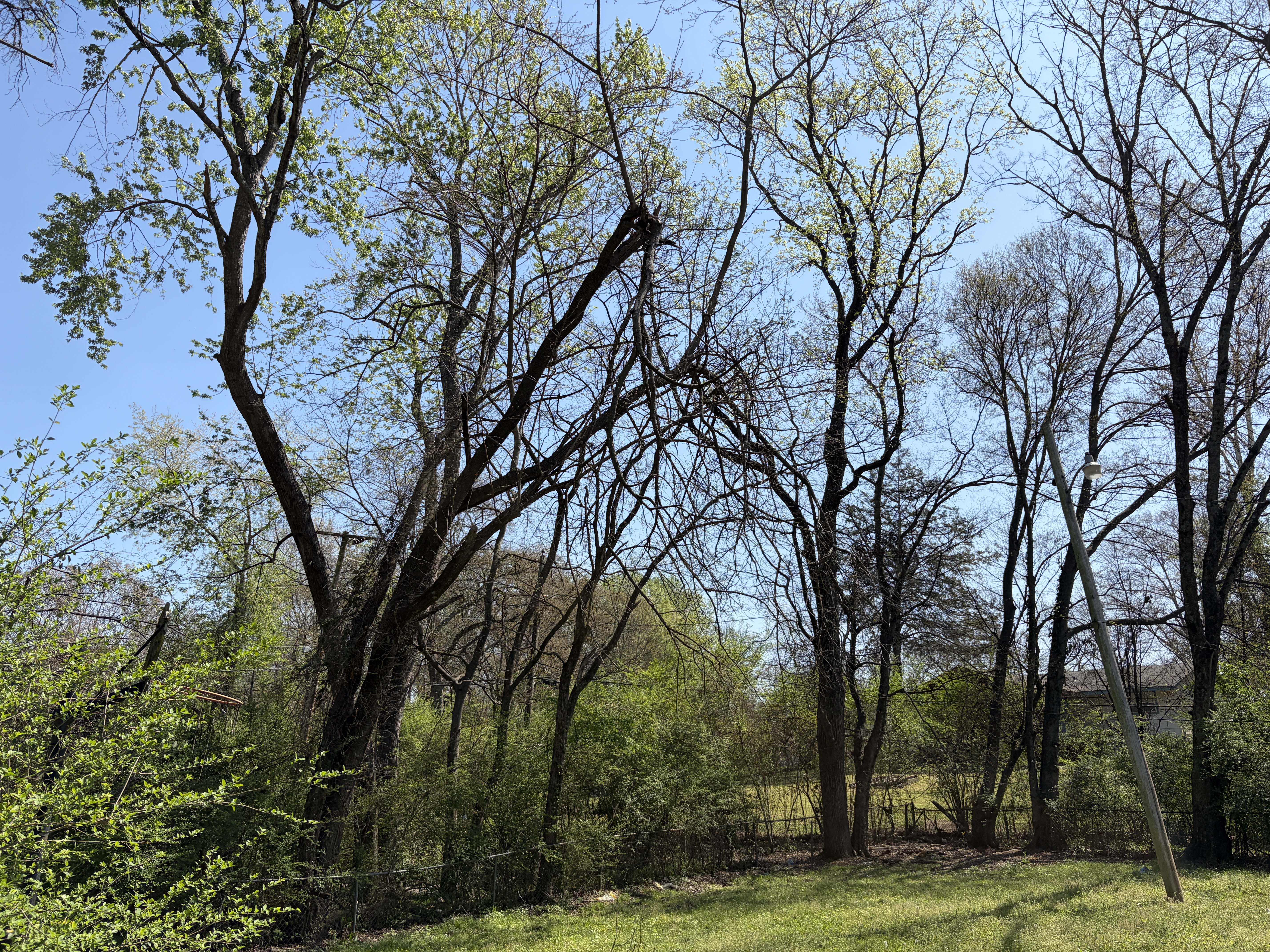 Inheriting a House You Don't Want: A Practical Guide — Little Rock Arkansas real estate