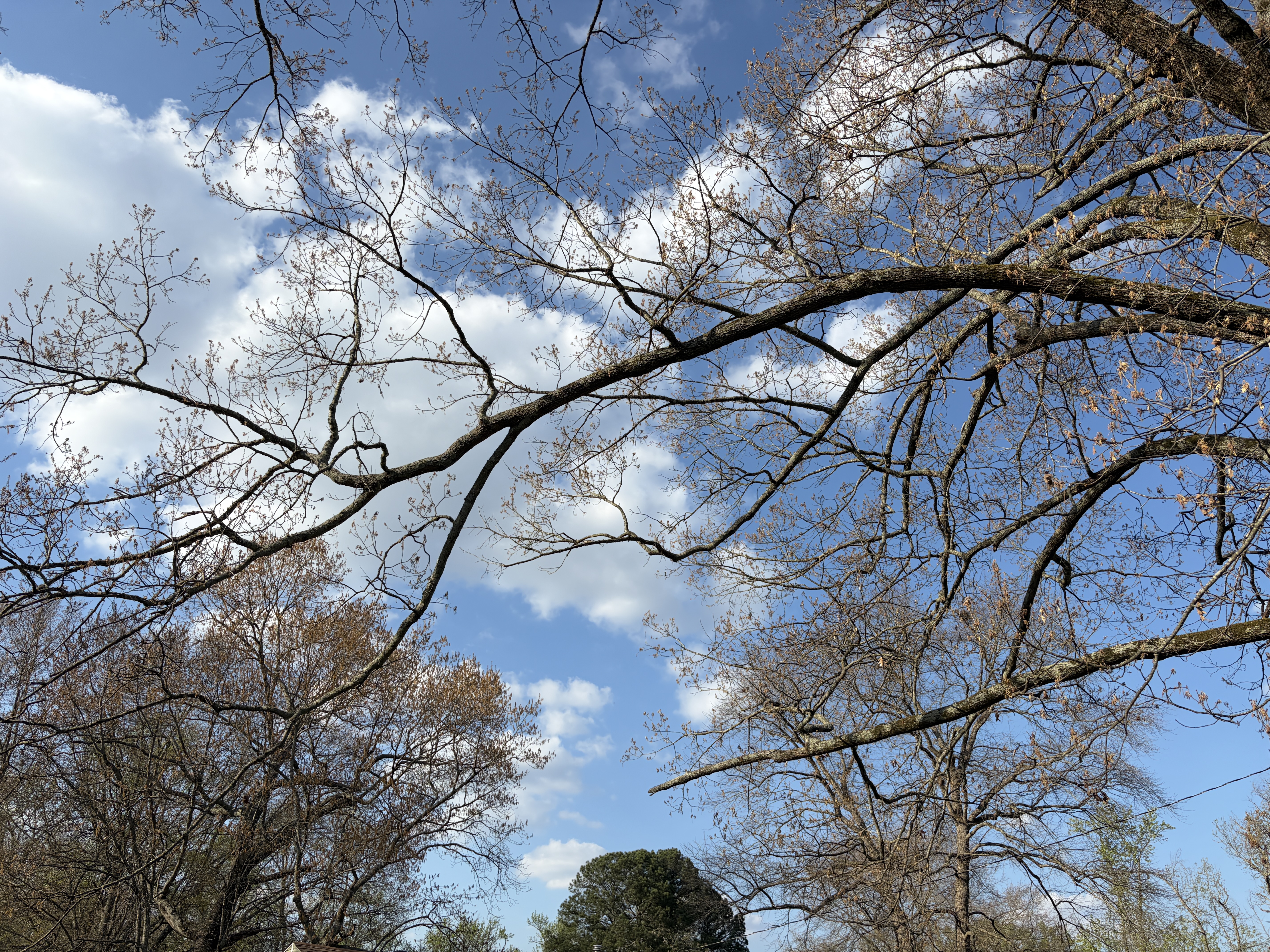 Selling a Home With Outdated Electrical or Plumbing — Little Rock Arkansas real estate